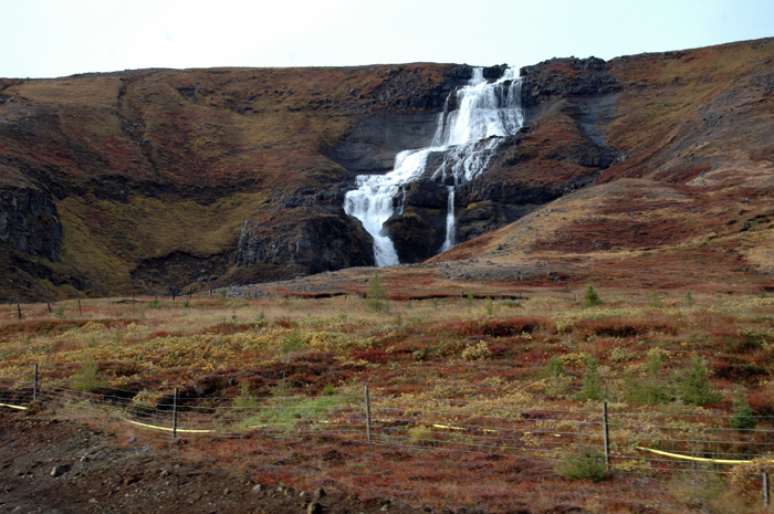 Another Icelandic foss